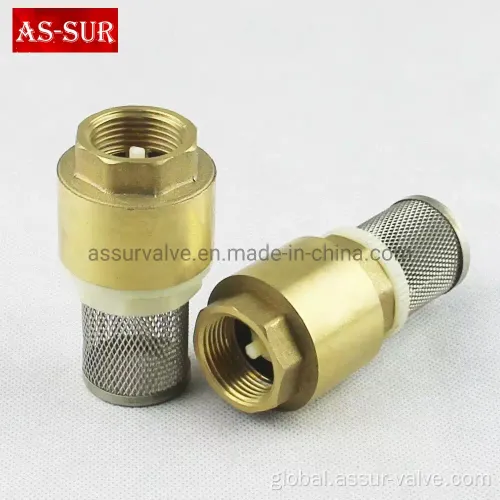 Stainless Steel Spring Check Valves Water Non Return Vertical Brass Spring Check Valves Supplier